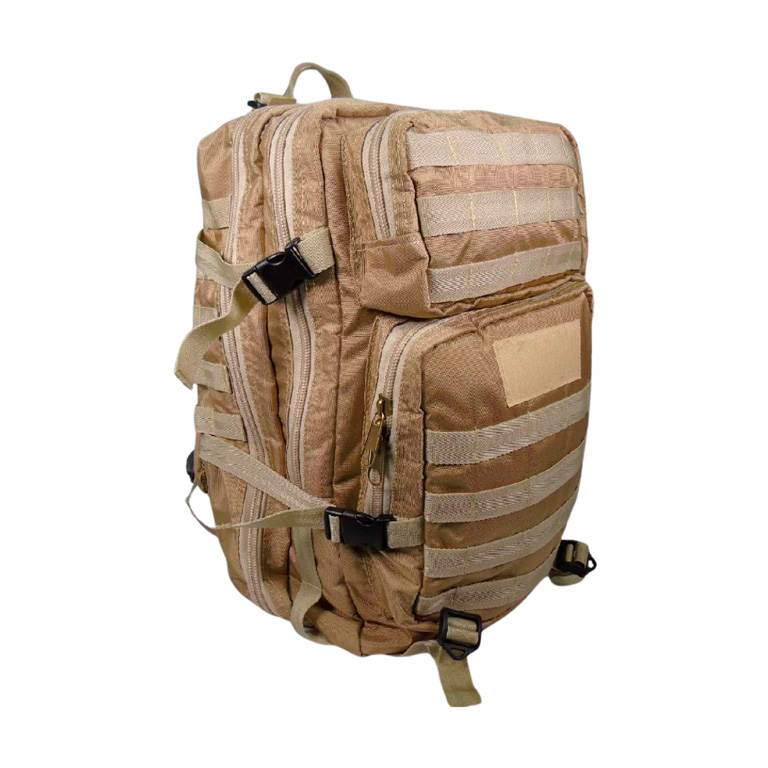 MORRAL-DE-ESTUDIO-OFFICIAL-#3-COYOTE-32-L